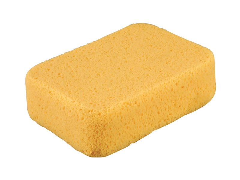 Sped Sponge Super Sponge